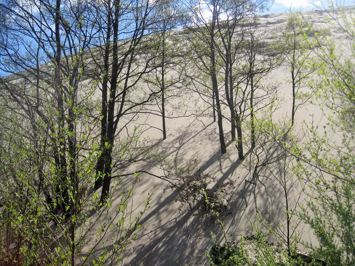 Parnidis Dune - Curonian Spit, Lithuania