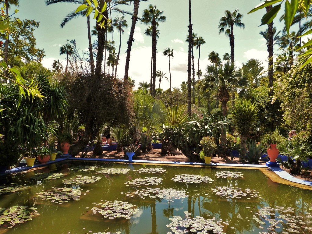 Jardine Majorelle, Marrakech