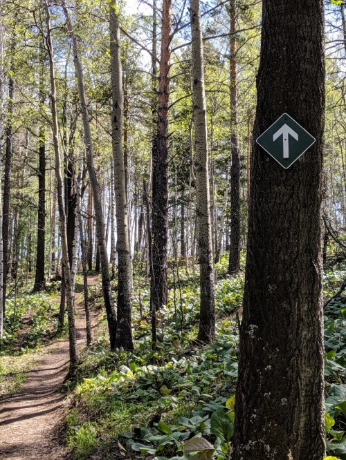 Great Baikal Trail signpost