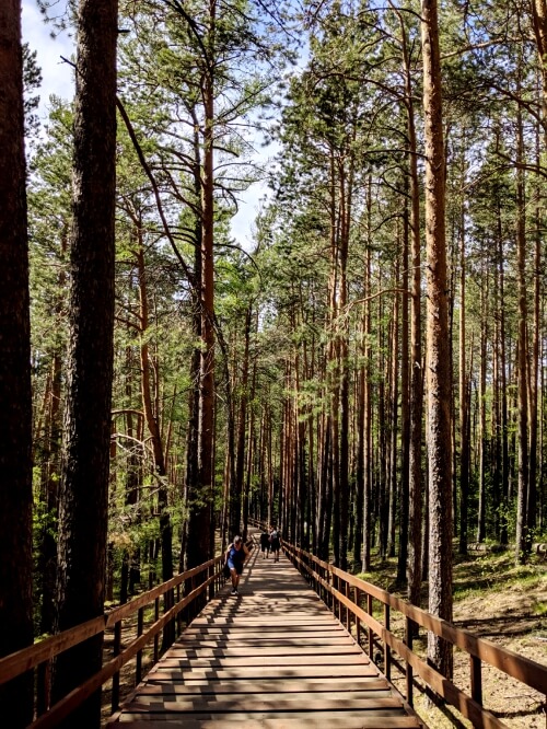 Hiking in Siberia near Krasnoyarsk