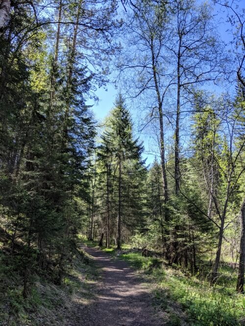 Hiking in Siberia - Stolby Nature Reserve