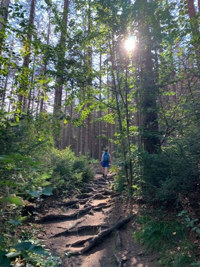 Hiking in Saxon Switzerland