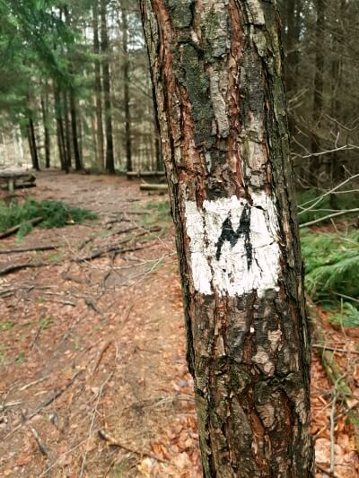 Hiking in Saxon Switzerland - the Malerweg