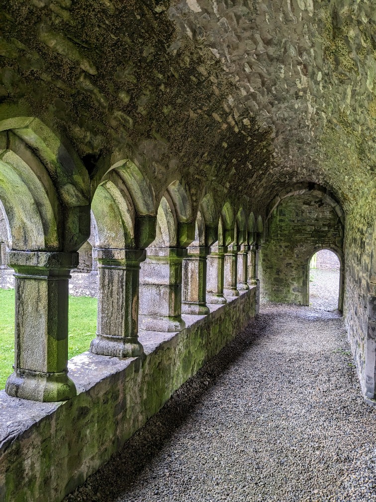Moyne Abbey cloister