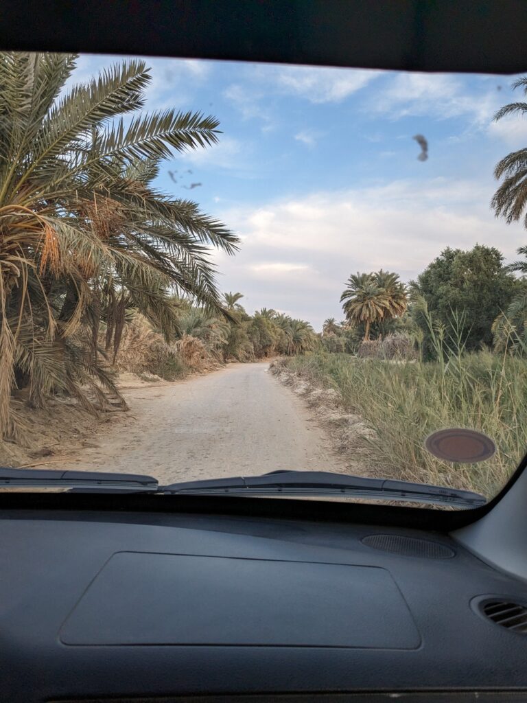 Transport in Siwa