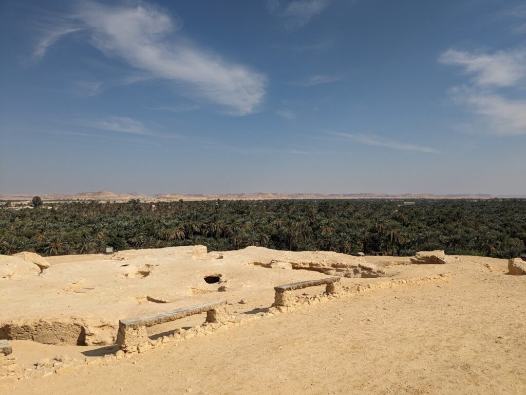 Siwa Oasis landscape