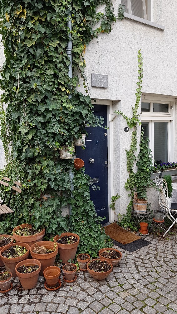 Dutch houses door