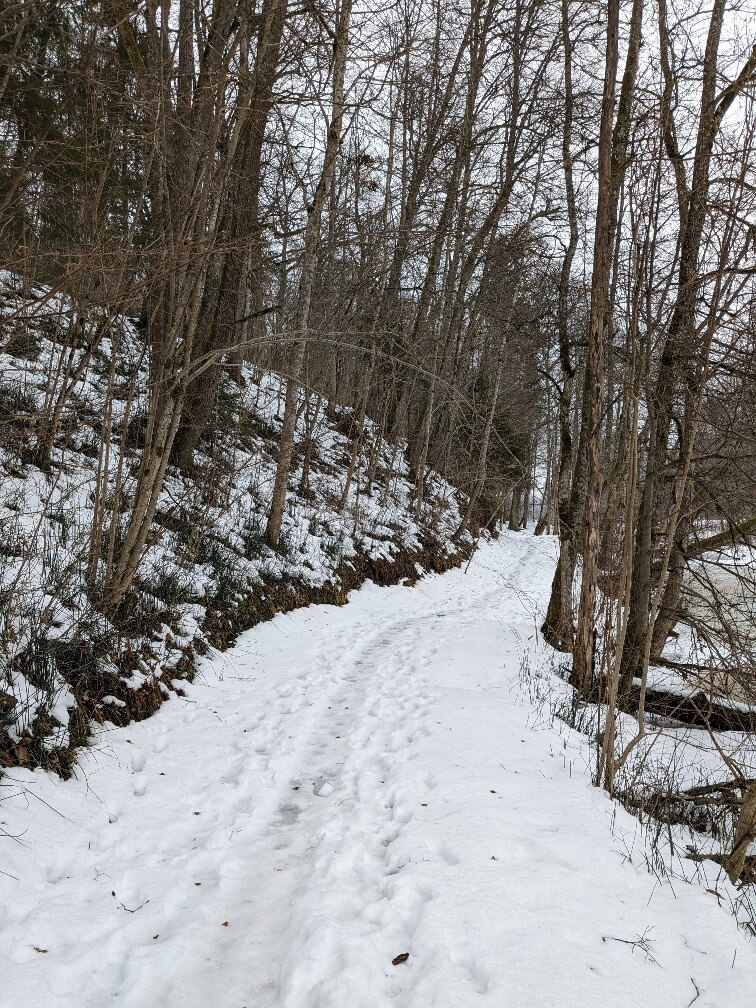 Hiking trail in Gaujas National Park in snow