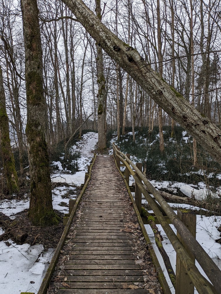 Gaujas National Park hiking trail in winter