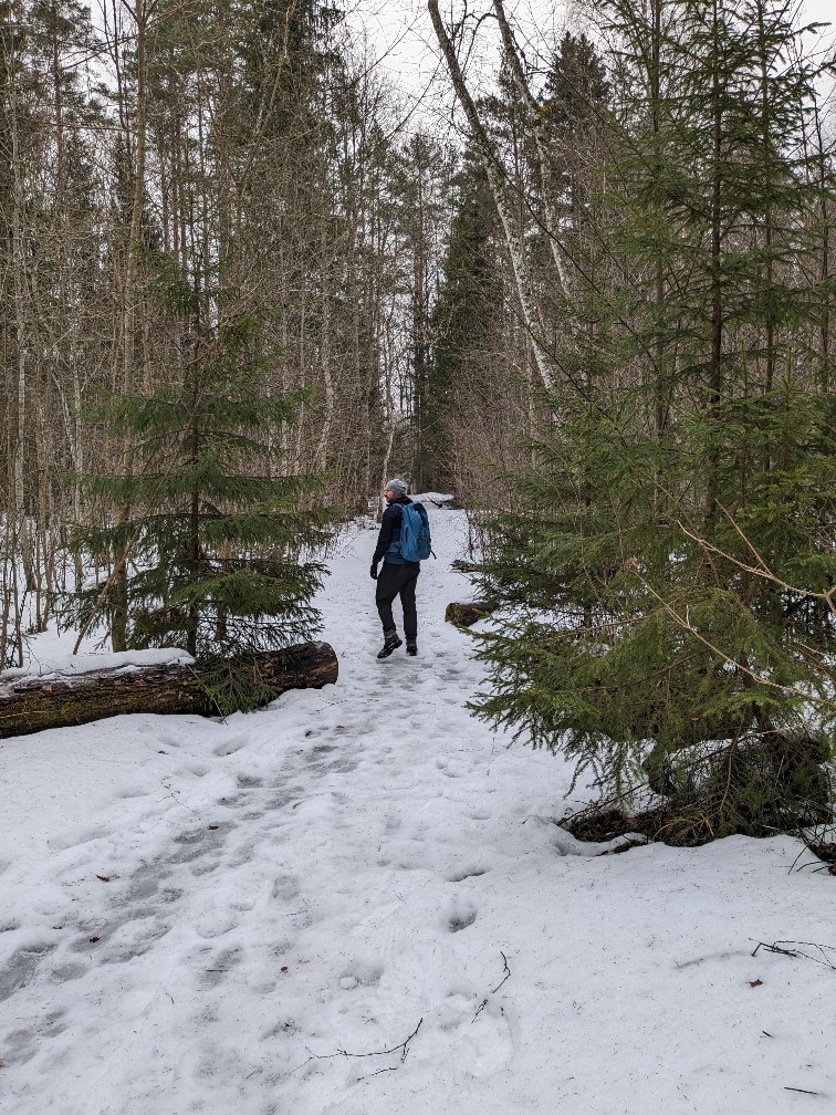 Hiking Gaujas National Park in winter