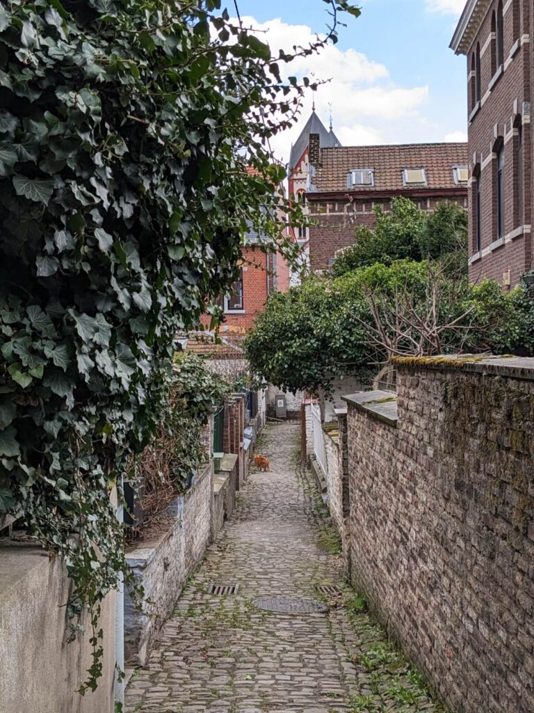 Day trip in Liege: visiting the impasses of Liege